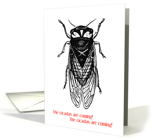 Funny The cicadas are coming The cicadas are coming card (1683986)