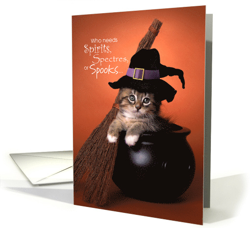 Cute Halloween Cat Who Needs Spirits Spectres or Spooks card (1687922)