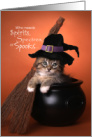 Cute Halloween Cat Who Needs Spirits Spectres or Spooks card
