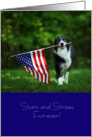 Cute Patriotic Border Collie Dog with American Flag July 4th card