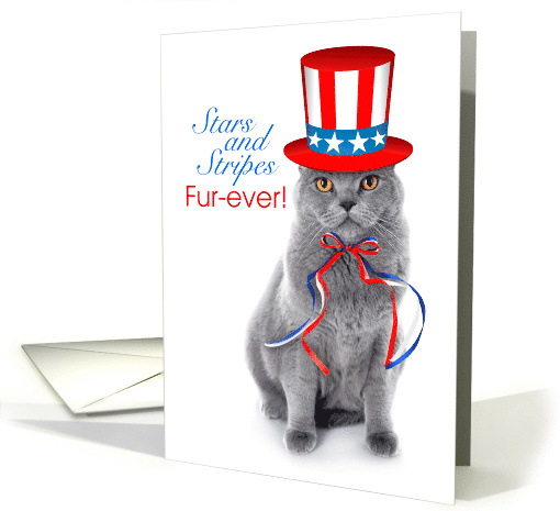 Funny Cat Stars and Stripes Fur Ever 4th of July card (1688716)