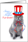 Funny Cat Stars and Stripes Fur Ever 4th of July card