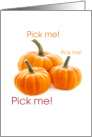 Cute Pick Me Pick Me Pick Me Pumpkin Patch Halloween card