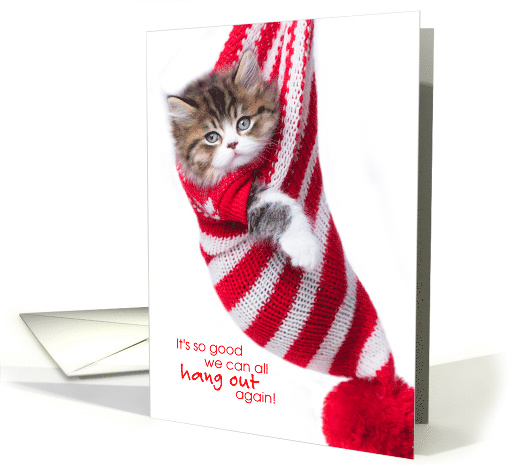 Cute Calico Kitten In Christmas Stocking Hanging Out Again card