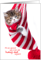 Cute Calico Kitten In Christmas Stocking Hanging Out Again card