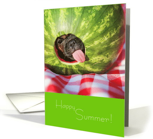 Happy Summer Cute Pug Chihuahua Mix Loves Watermelon card (1690160)