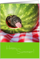 Happy Summer Cute Pug Chihuahua Mix Loves Watermelon card