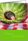 Happy Summer Cute Pug Chihuahua Mix Loves Watermelon card