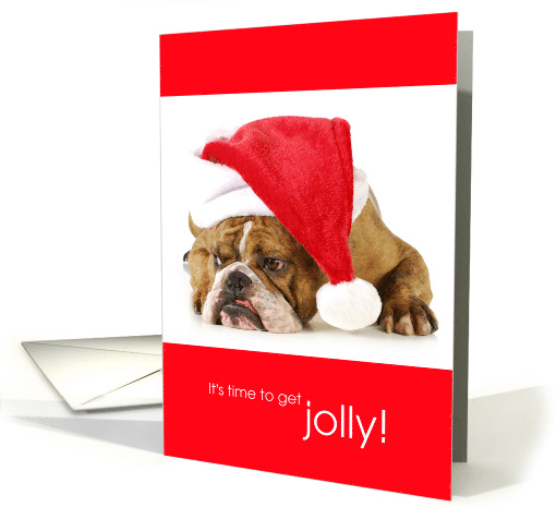 Funny Grumpy English Bulldog Time to Get Jolly Christmas card