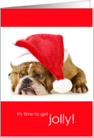 Funny Grumpy English Bulldog Time to Get Jolly Christmas card