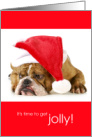 Funny Grumpy English Bulldog Time to Get Jolly Christmas card