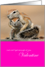 Cute Funny Hugging Squirrels Cant Get Enough of You Valentine card