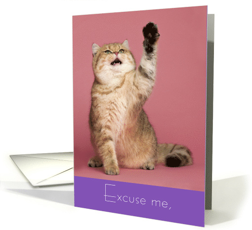 Cute Valentine Yellow Tabby Cat Raises Paw and Says Excuse Me card