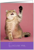 Cute Valentine Yellow Tabby Cat Raises Paw and Says Excuse Me card