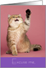 Cute Valentine Yellow Tabby Cat Raises Paw and Says Excuse Me card