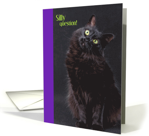 Funny Quizzical Black Cat Silly Question Treats of Course... (1698706)