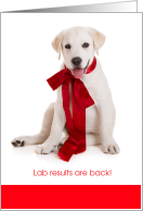 Cute Funny Lab Test Results Valentine with Labrador Retriever Pup card