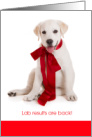 Cute Funny Lab Test Results Valentine with Labrador Retriever Pup card