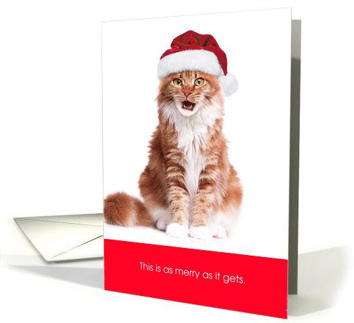 Funny Cat This Is As Merry As It Gets Christmas card (1728530)