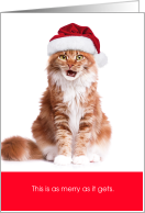 Funny Cat This Is As Merry As It Gets Christmas card