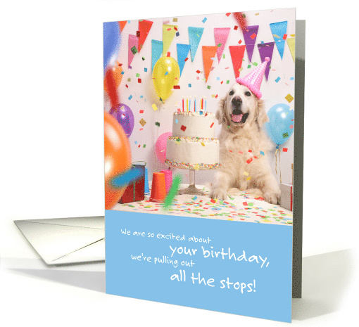 White Labrador Dog Birthday Pulling Out All the Stops card (1739246)
