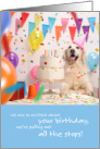 White Labrador Dog Birthday Pulling Out All the Stops card