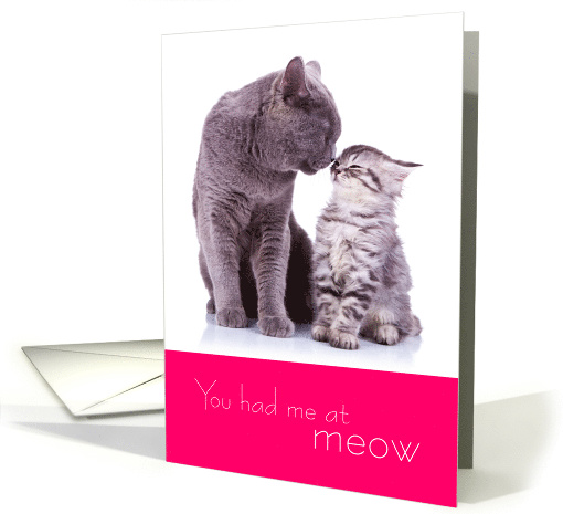 Cute Valentine Cats You Had Me At Meow card (1739248)