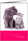 Cute Valentine Cats You Had Me At Meow card