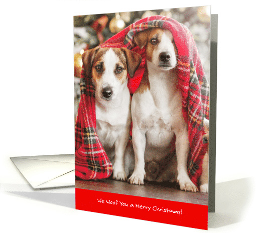 Cute Beagles WOOF You a Merry Christmas card (1739578)