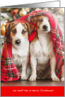 Cute Beagles WOOF You a Merry Christmas card