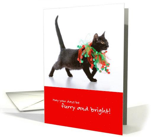 Cute Cat May Your Days Be Furry and Bright Christmas card (1739580)