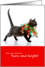 Cute Cat May Your Days Be Furry and Bright Christmas card
