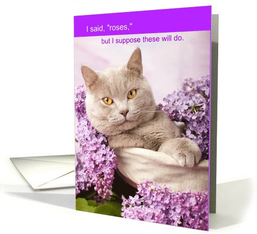 Funny Cat Surrounded by Lilacs Valentine I Said ROSES card (1739796)