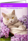 Funny Cat Surrounded by Lilacs Valentine I Said ROSES card