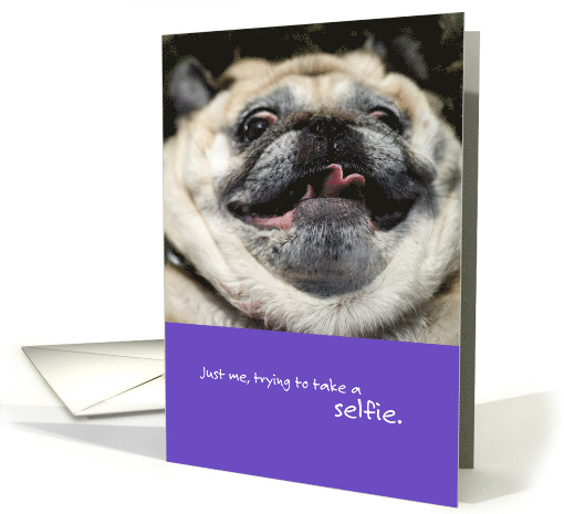 Funny Pug Dog Just Me Taking a Selfie Picture Perfect Birthday card