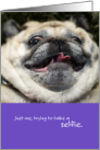 Funny Pug Dog Just Me Taking a Selfie Picture Perfect Birthday card