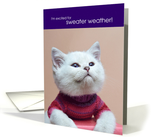 Excited for Sweater Weather Kitten Happy Fall card (1740794)