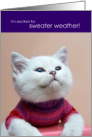 Excited for Sweater Weather Kitten Happy Fall card