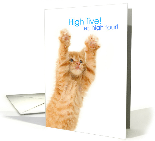 Funny Congratulations Cat Paws Up for High Five High Four card