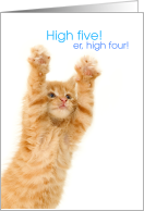 Funny Congratulations Cat Paws Up for High Five High Four card