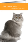 Funny British Longhair Cat Feel Better Soon Speaking of Milking It card