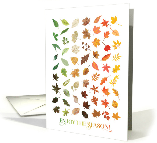 Enjoy The Season Colorful Beautiful Fall Leaves card (1747914)