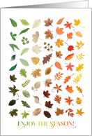 Enjoy The Season Colorful Beautiful Fall Leaves card
