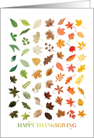 Happy Thanksgiving Colorful Beautiful Leaves card