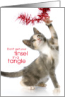 Cute Funny Calico Cat Dont Get Your Tinsel in a Tangle Christmas card