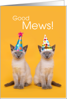 Good Mews Its Your Birthday Siamese Cats with Party Hats card