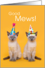 Good Mews Its Your Birthday Siamese Cats with Party Hats card