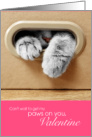 Cute Grey Kitty in Box Cant Wait To Get Paws on You Valentine card