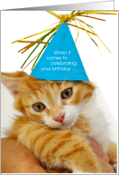 Cute Funny Tabby Cat Birthday No Pussy Footin Around card