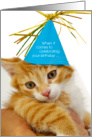 Cute Funny Tabby Cat Birthday No Pussy Footin Around card